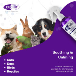 Leucillin 500 ml Spray