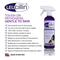 Leucillin 500 ml Spray