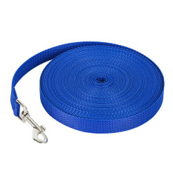 Blue Long Lead