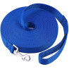 Blue Long Lead